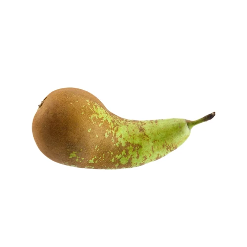 fruit1-4.webp