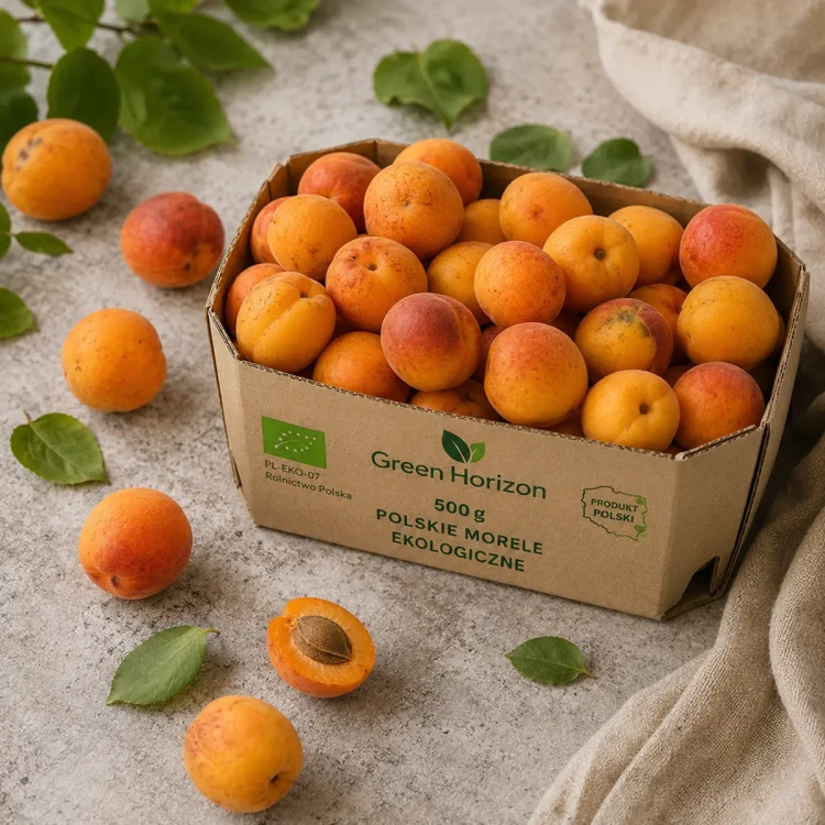 fruit2-3.webp