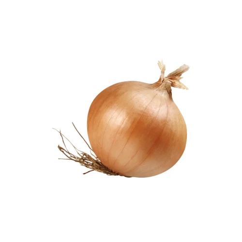 vegetable3-3.webp