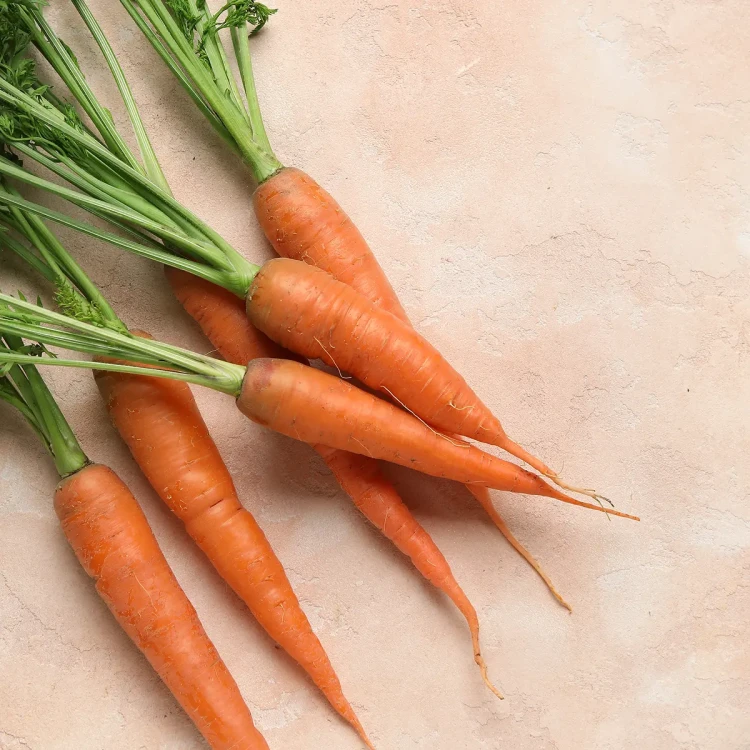vegetable4.webp